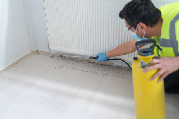 Best Local Pest Control Services  in Runge, TX